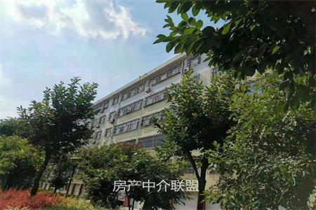 城东远航国际2室2厅1卫107.1m2简单装修