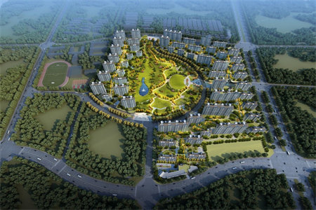 新华街安置房D区13号楼1单元2层东南户